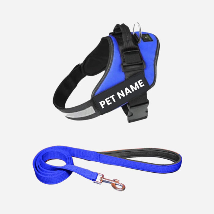 Payton Perry Customized Dog Vest Harness - 图片 5