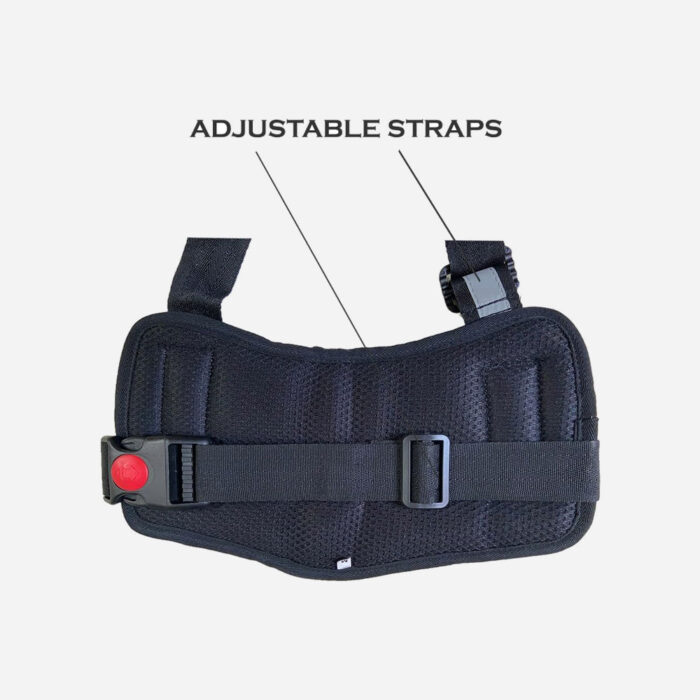 Payton Perry Customized Dog Vest Harness - 图片 3