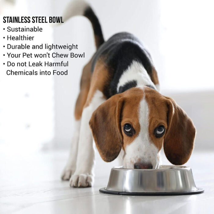 Pets Empire Stainless Steel Dog Bowl (Set of 2) - 图片 4