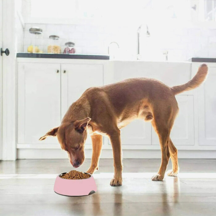 Food-Grade Melamine Base and Stainless Steel Bowl - 图片 4