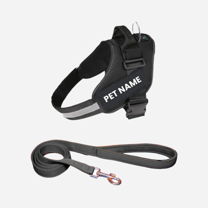 Payton Perry Customized Dog Vest Harness